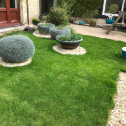 Techniques de taille pour maintenir un jardin esthétique et en bonne santé Annemasse